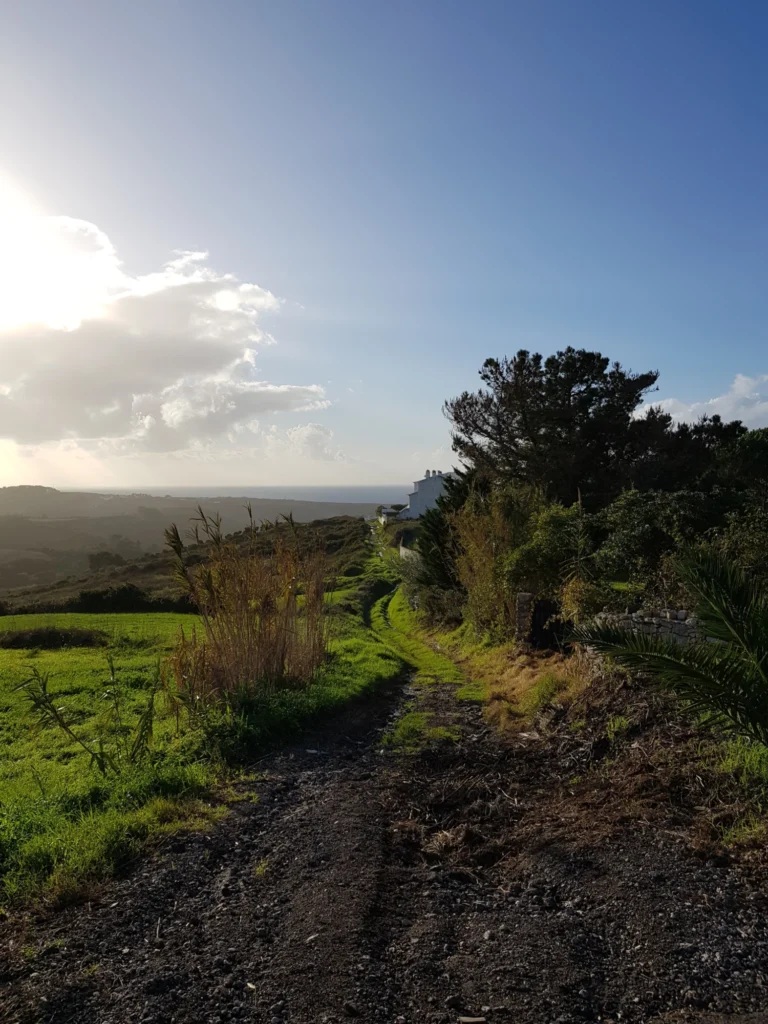 Photo of path in the countryside