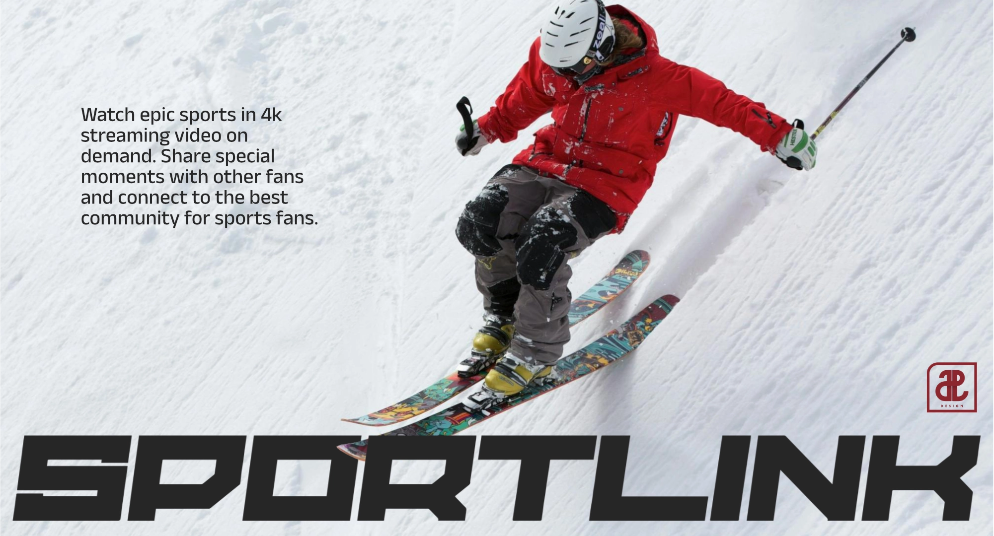 Skier and Sportlink banner